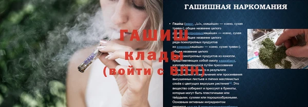 индика Верея