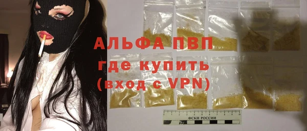 индика Верея