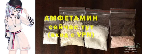 индика Верея