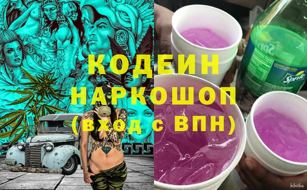 индика Верея