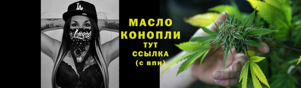 индика Верея