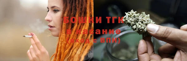 индика Верея
