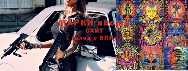 индика Верея