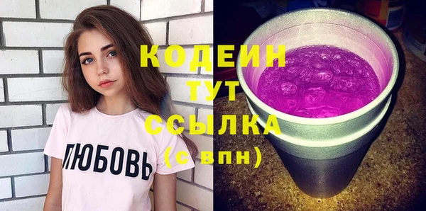 индика Верея