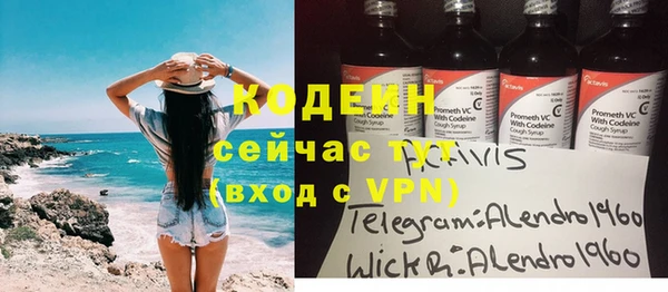индика Верея