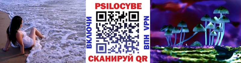 Галлюциногенные грибы мухоморы mega зеркало Каспийск как найти закладки